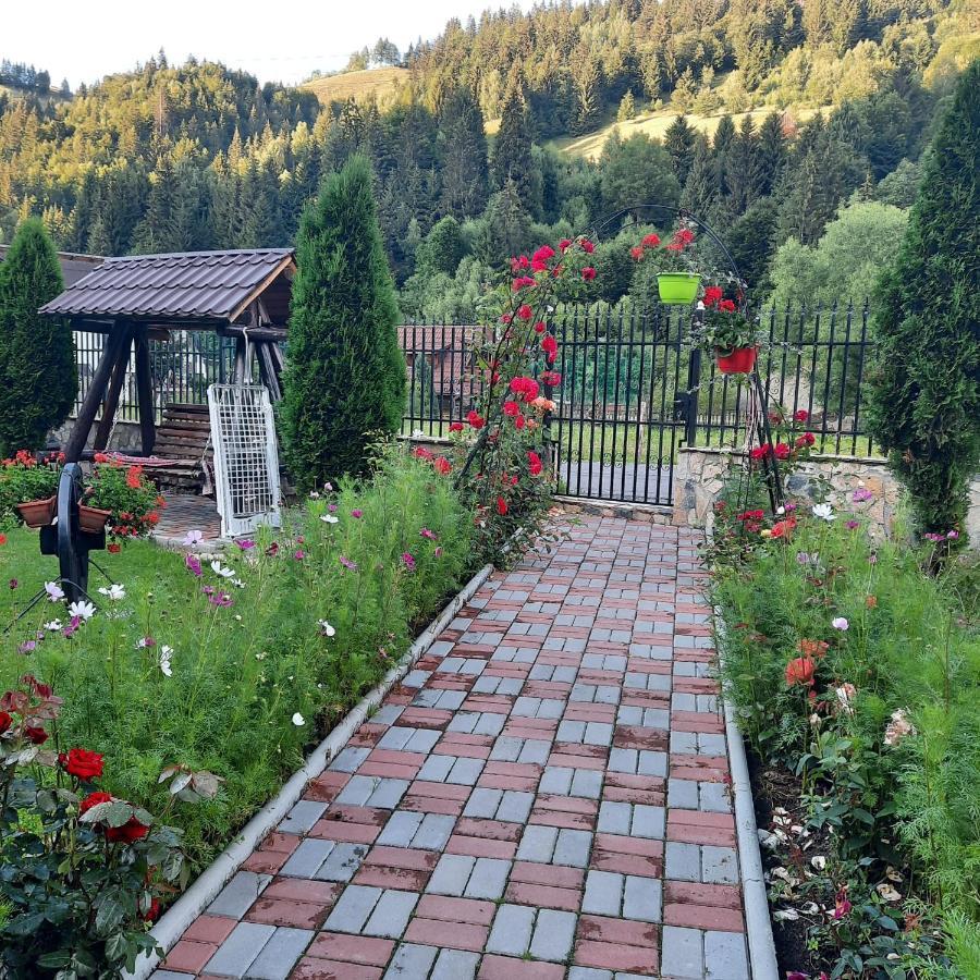 Casa Dana Olteanu 호텔 모시유드서스 외부 사진
