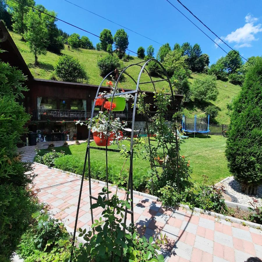 Casa Dana Olteanu 호텔 모시유드서스 외부 사진